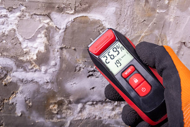 Best Crawl Space Mold Removal  in Jasonville, IN